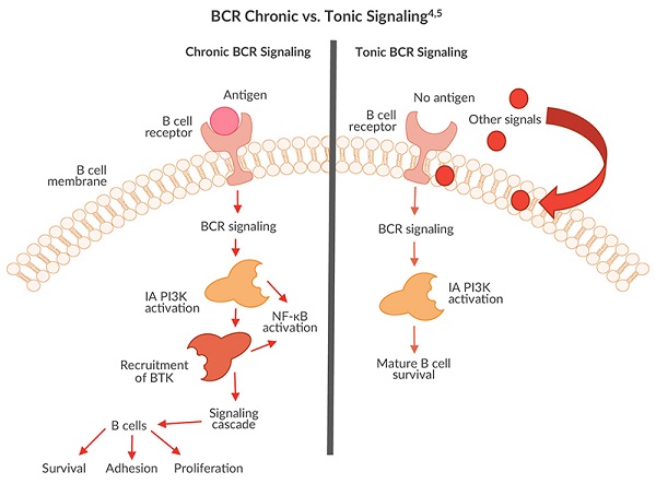 Class Ia Pi3k Inhibitor Cancer Therapies 