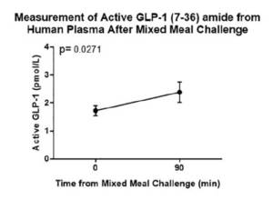 This chart illustrates Active GLP-1 (7-36) amide fasted vs. fed levels following the mixed meal tolerance test (MMTT).