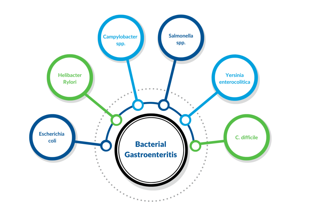 Bacterial Gastroenteritis Diagram