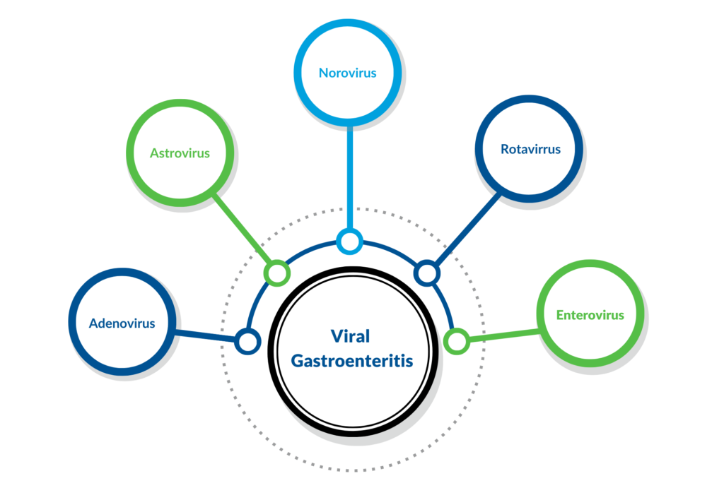 Viral Gastroenteritis Diagram